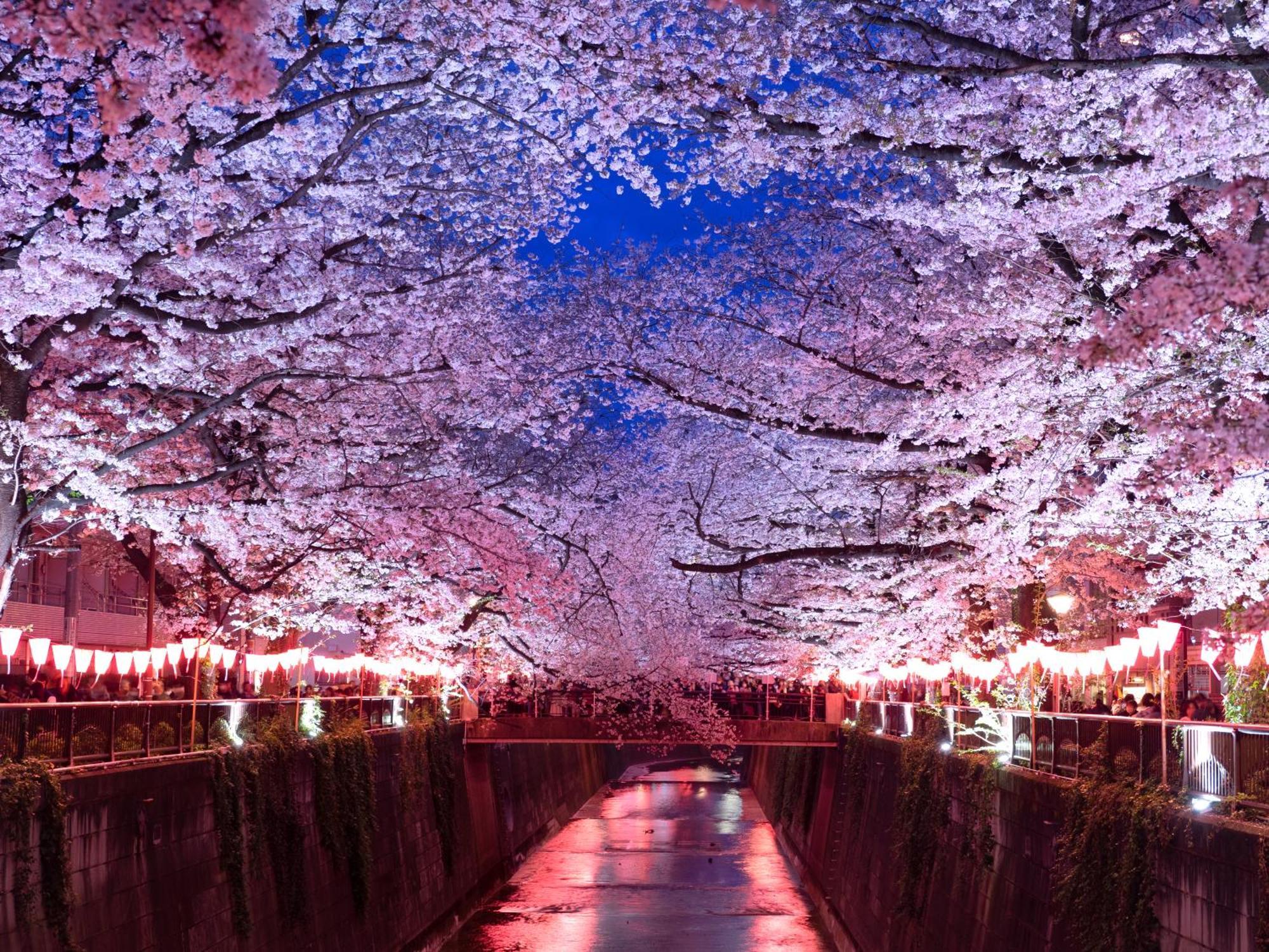 The Westin Tokyo Hotell Eksteriør bilde