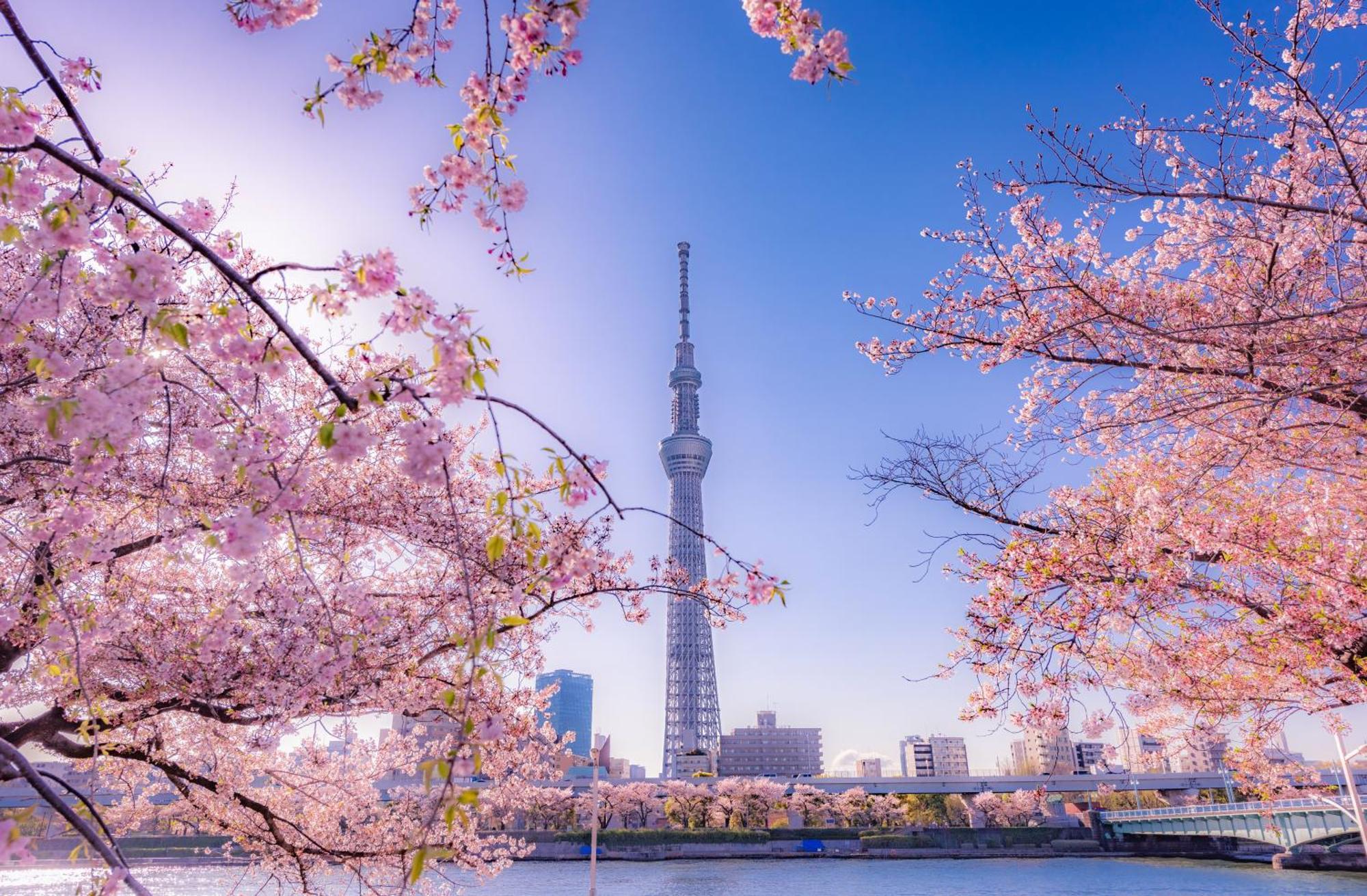 The Westin Tokyo Hotell Eksteriør bilde