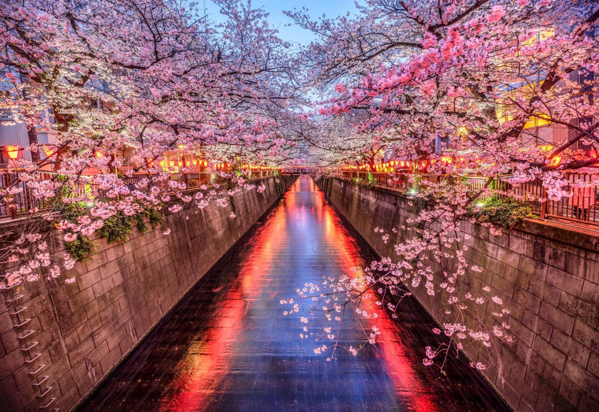 The Westin Tokyo Hotell Eksteriør bilde